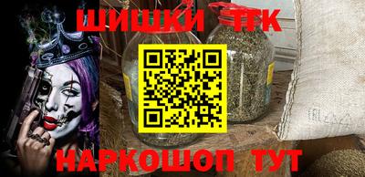 мдпв Гатчина